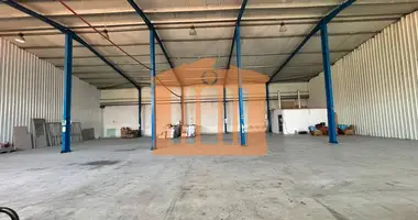 Manufacture 225 m² in Bashkia Durres, Albania