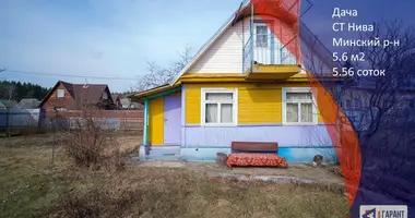Дом в Ждановичский сельский Совет, Беларусь