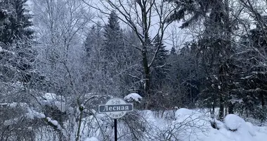 House in Lasanski sielski Saviet, Belarus