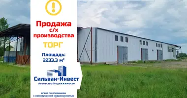 Производство 2 233 м² в Ленина, Беларусь