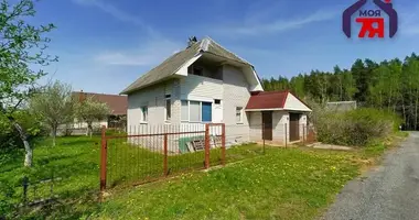 Haus in Baraulianski sielski Saviet, Belarus