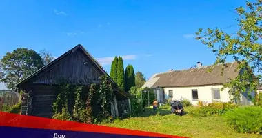 Дом в Туринский сельский Совет, Беларусь