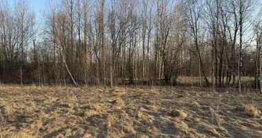 Parcela en Katiliskes, Lituania