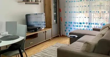 1 bedroom apartment in Budva, Montenegro