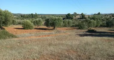 Terrain dans Nikiti, Grèce