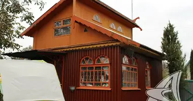 Haus in Telminski sielski Saviet, Belarus