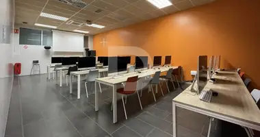 Коммерческое помещение 807 м² в Helechosa de los Montes, Испания
