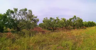 Terrain dans Nikiti, Grèce