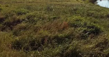 Участок земли в Алитус, Литва
