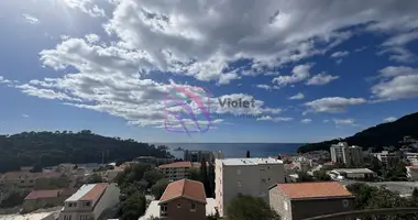 Mieszkanie 1 pokój w Petrovac, Czarnogóra