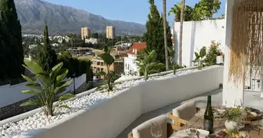 3 bedroom apartment in San Pedro Alcantara, Spain