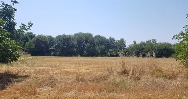 Terrain dans Kalandra, Grèce