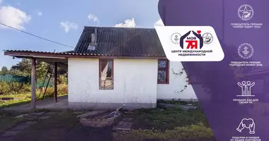 House in Barawlyany, Belarus