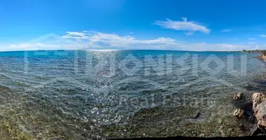 Plot of land in Sozopoli, Greece