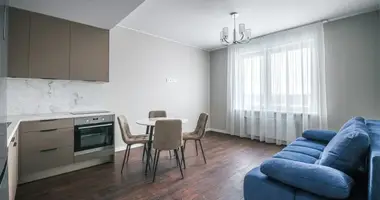 1 bedroom apartment in Riga, Latvia