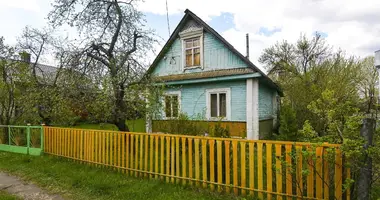 Dom w Zdanovicki sielski Saviet, Białoruś