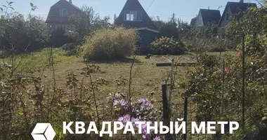 House in Rakauski sielski Saviet, Belarus