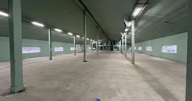 Manufacture 1 060 m² in Kirsy, Belarus