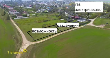 Plot of land in Slabada, Belarus