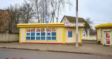 Shop 55 m² in Kalodziscanski sielski Saviet, Belarus