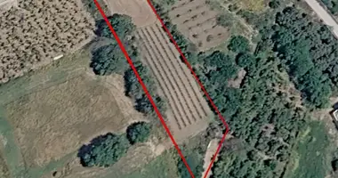 Plot of land in Kissonerga, Cyprus
