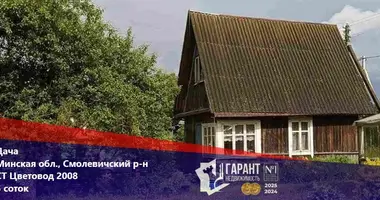Haus in Zodzinski sielski Saviet, Belarus