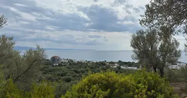 Grundstück in Lukove, Albanien
