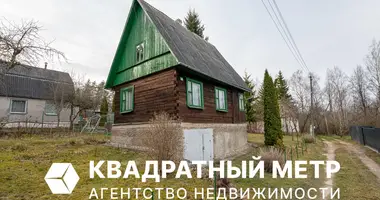 House in Rakauski sielski Saviet, Belarus