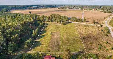 Parcela en Madziunai, Lituania