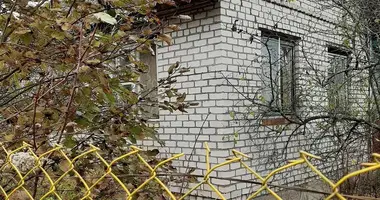 House in Nieharelski sielski Saviet, Belarus