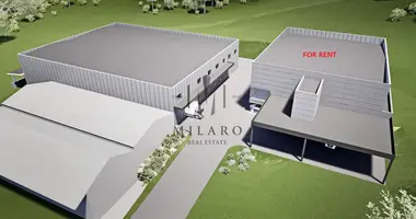 FOR RENT A NEW INDUSTRIAL BUILDING в Zidani Most, Словения