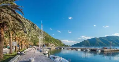 Квартира 1 спальня в Рисан, Черногория