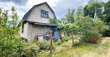 House in Rudzienski sielski Saviet, Belarus