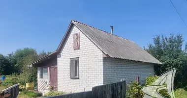 House in Matykalski sielski Saviet, Belarus
