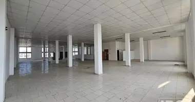 Warehouse 600 m² in Kamëz Municipality, Albania