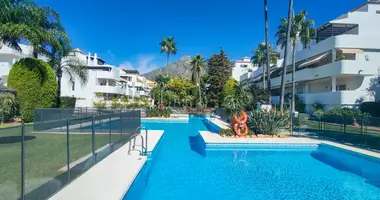 2 bedroom apartment in Marbella, Spain
