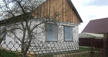 House in Varsauka, Belarus