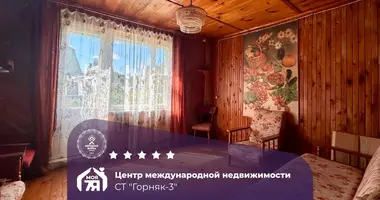 House in Starobinski sielski Saviet, Belarus