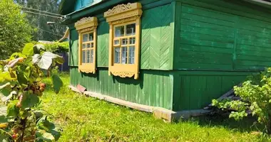 House in Zhunski sielski Saviet, Belarus