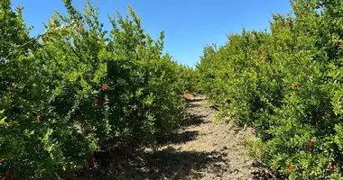 Parcela en Serik, Turquía