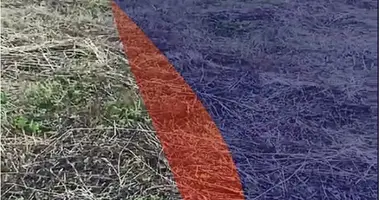 Działka w Bialarucki sielski Saviet, Białoruś