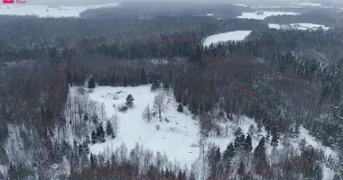 Plot of land in Moletai, Lithuania