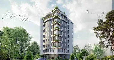 Appartement 1 chambre dans Besiktas, Turquie