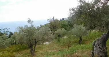 Terrain dans Tsagkarada, Grèce
