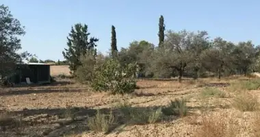 Terrain dans Latsia, Chypre