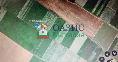 Коммерческое помещение 1 126 м² в Kosharitsa, Болгария