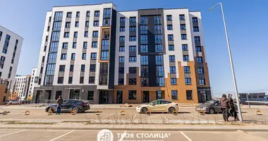 3 bedroom apartment in Minsk, Belarus