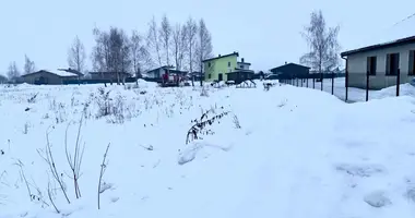 Działka w Kępiszki, Litwa