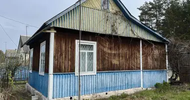 House in Saltanouski sielski Saviet, Belarus