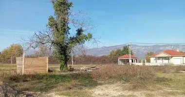 Terrain dans Monténégro